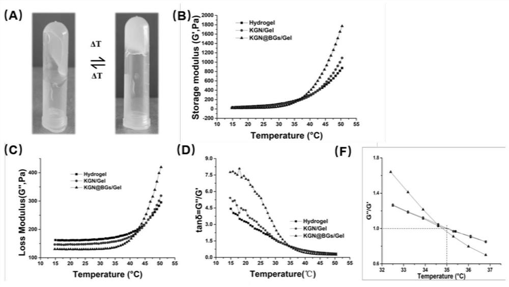 Composite hydrogel for promoting tendon-bone healing as well as preparation method and application thereof