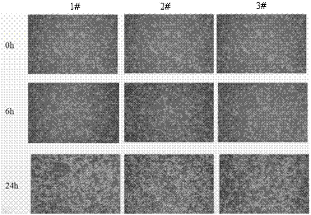 Skin-care composition and application method thereof