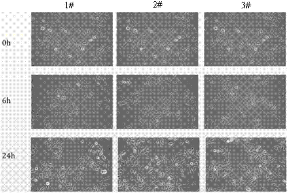 Skin-care composition and application method thereof