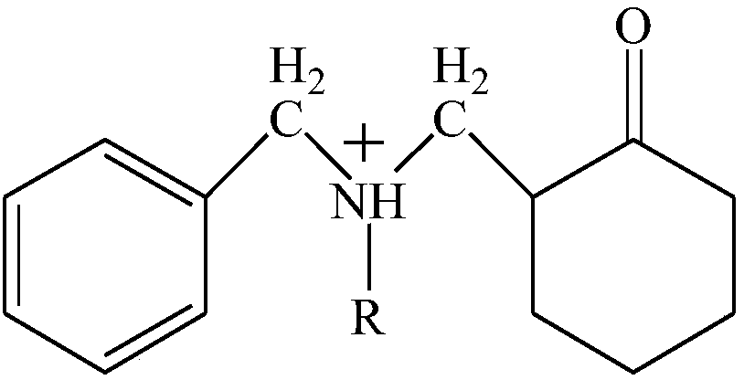 A kind of binary composite water flooding degreasing agent and preparation method thereof