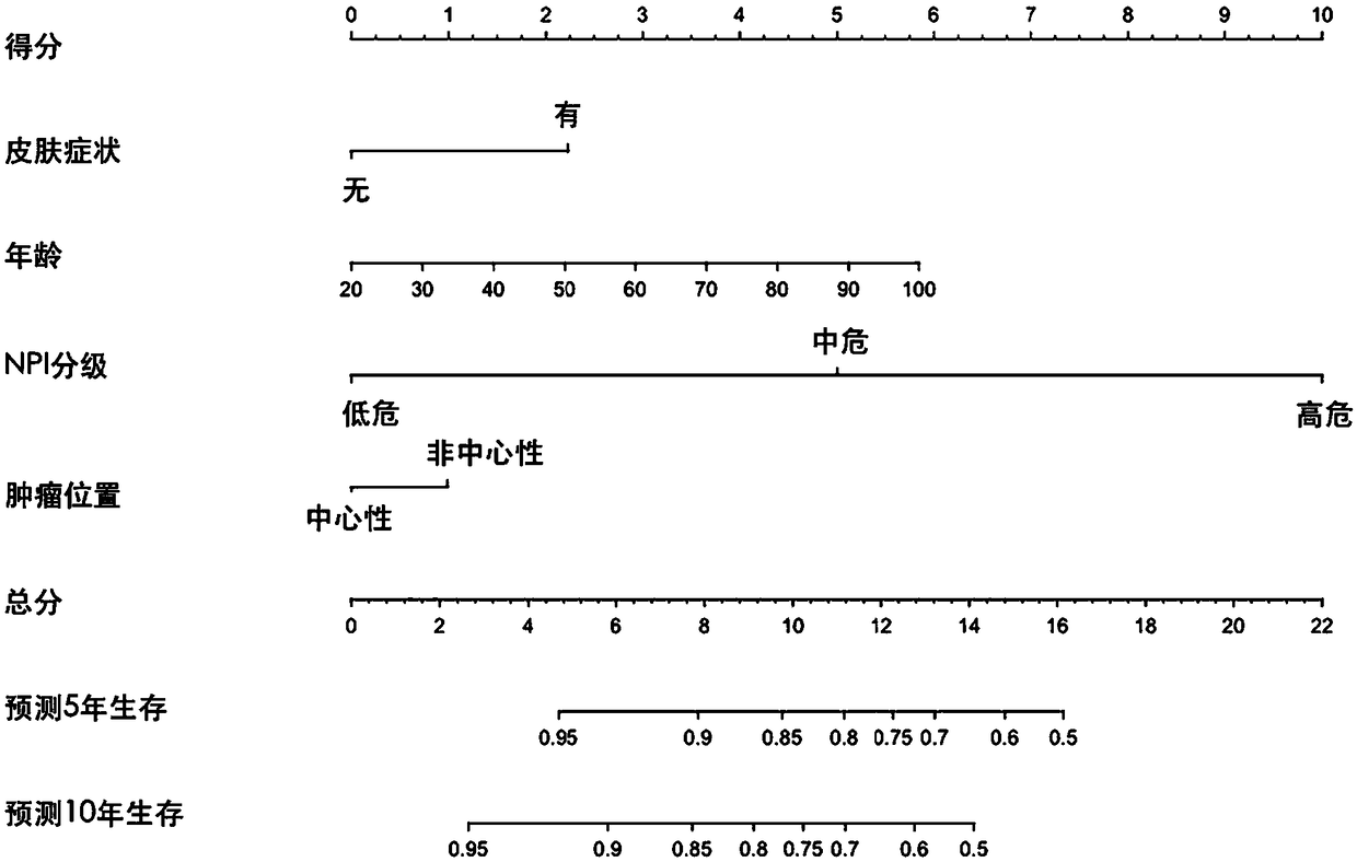 Model for evaluating prognosis of patients with Paget's disease and invasive ductal carcinoma and application thereof