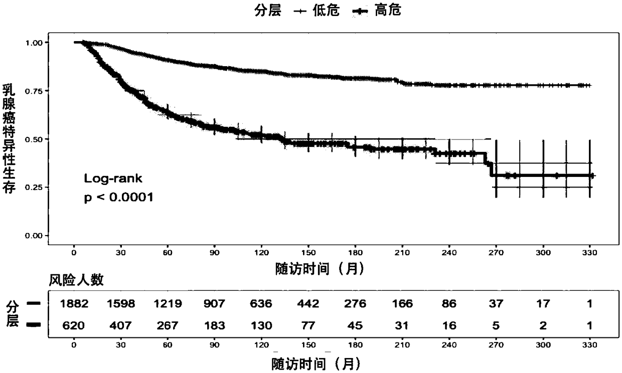 Model for evaluating prognosis of patients with Paget's disease and invasive ductal carcinoma and application thereof