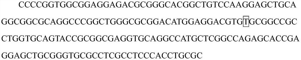 Reagent for enhancing real-time fluorescent PCR signal and method thereof