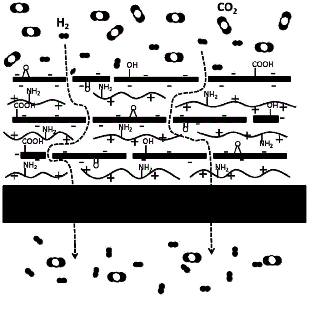 Gas separation membrane, preparation method thereof, and membrane type gas separation device