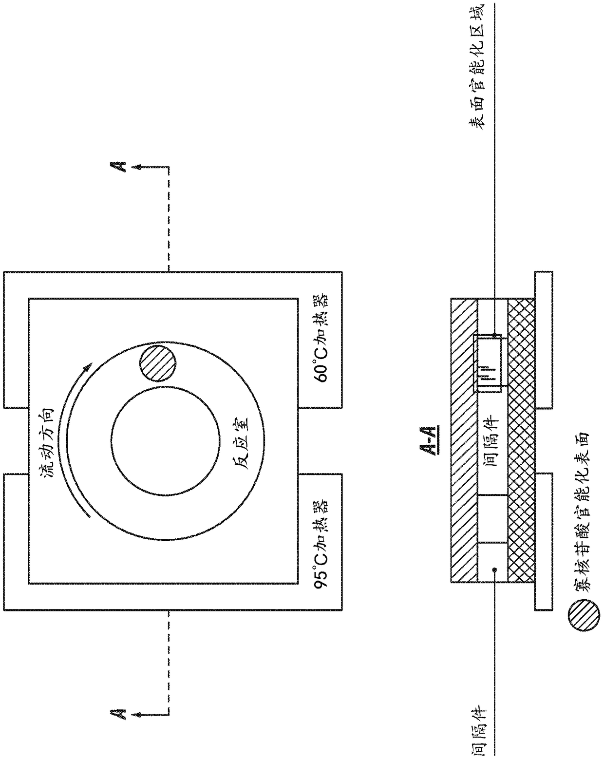 Surface-based detection of nucleic acid in a convection flow fluidic device