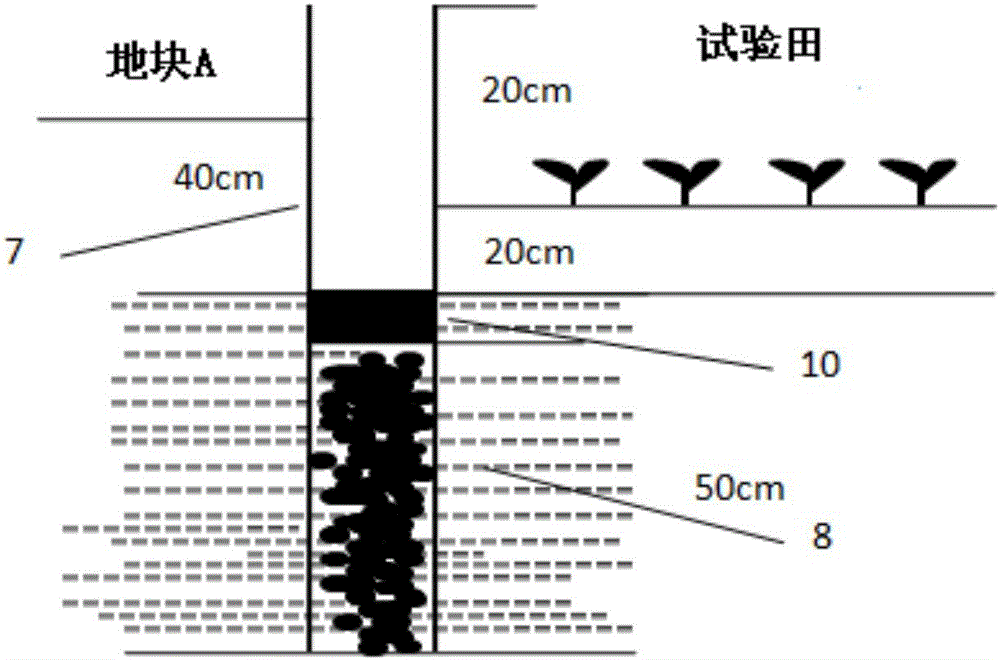 Method for homogenizing soil moisture of test fields in hilly areas of middle and lower reaches of the Yangtze River