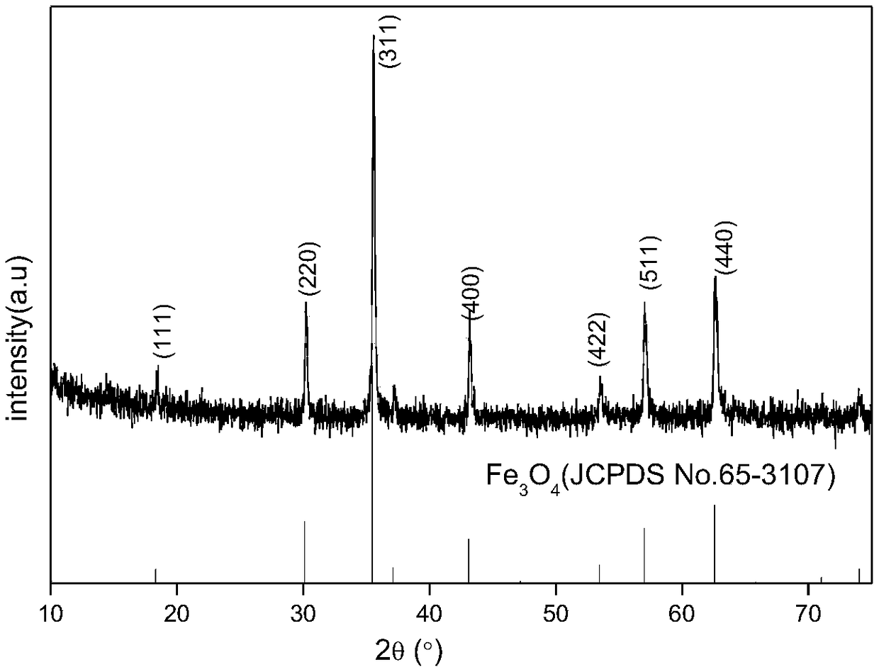 Fluorine modified Fe3O4 magnetic nano material and preparation method and applications thereof