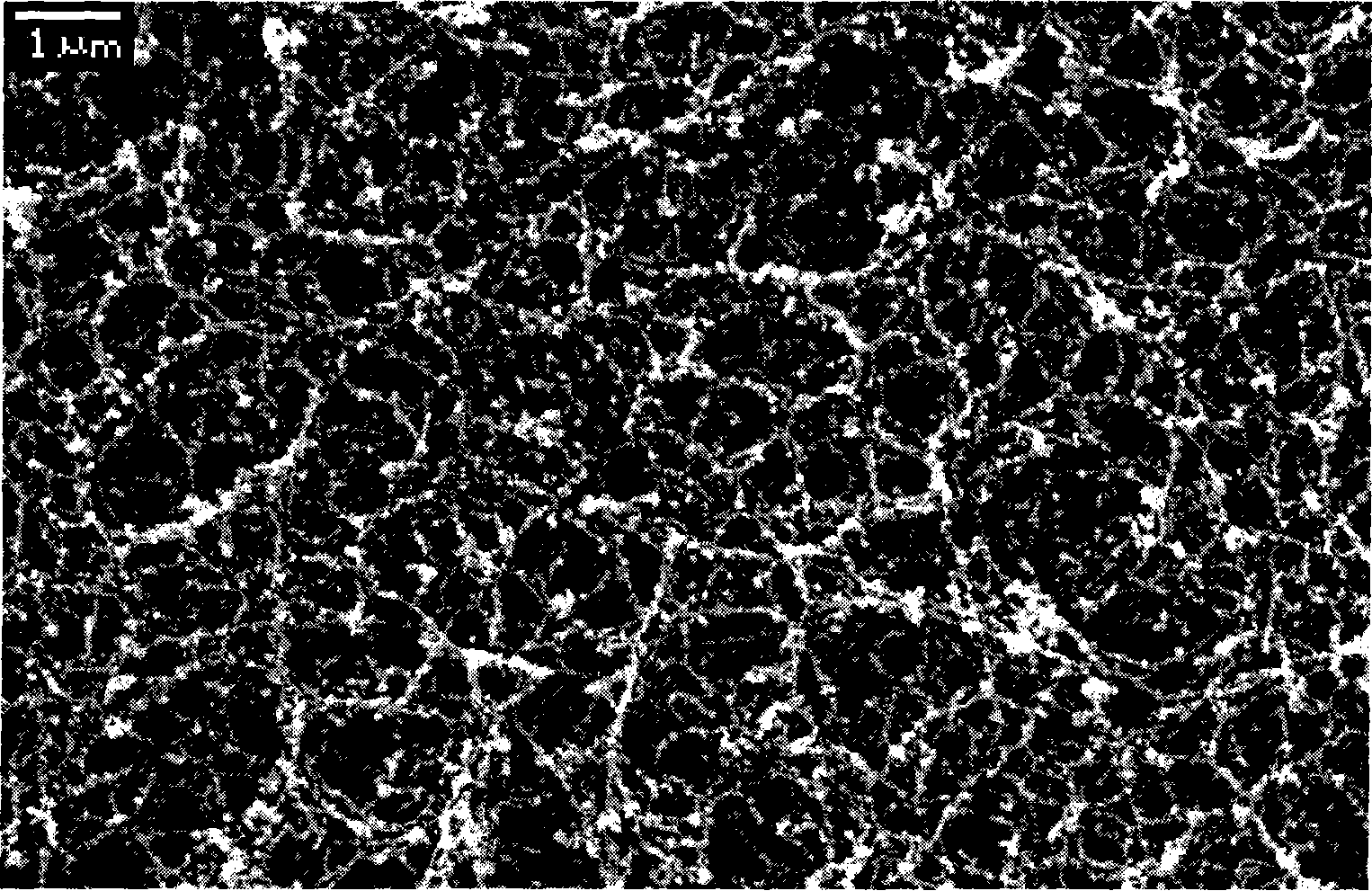 Nanocrystalline porous TiO2 film and preparation method thereof