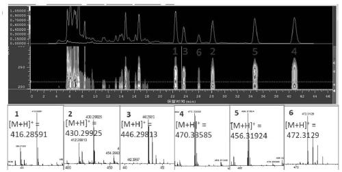 Application of a Streptomyces and its Metabolites Penicillin Compounds in Anti-kidney Cancer