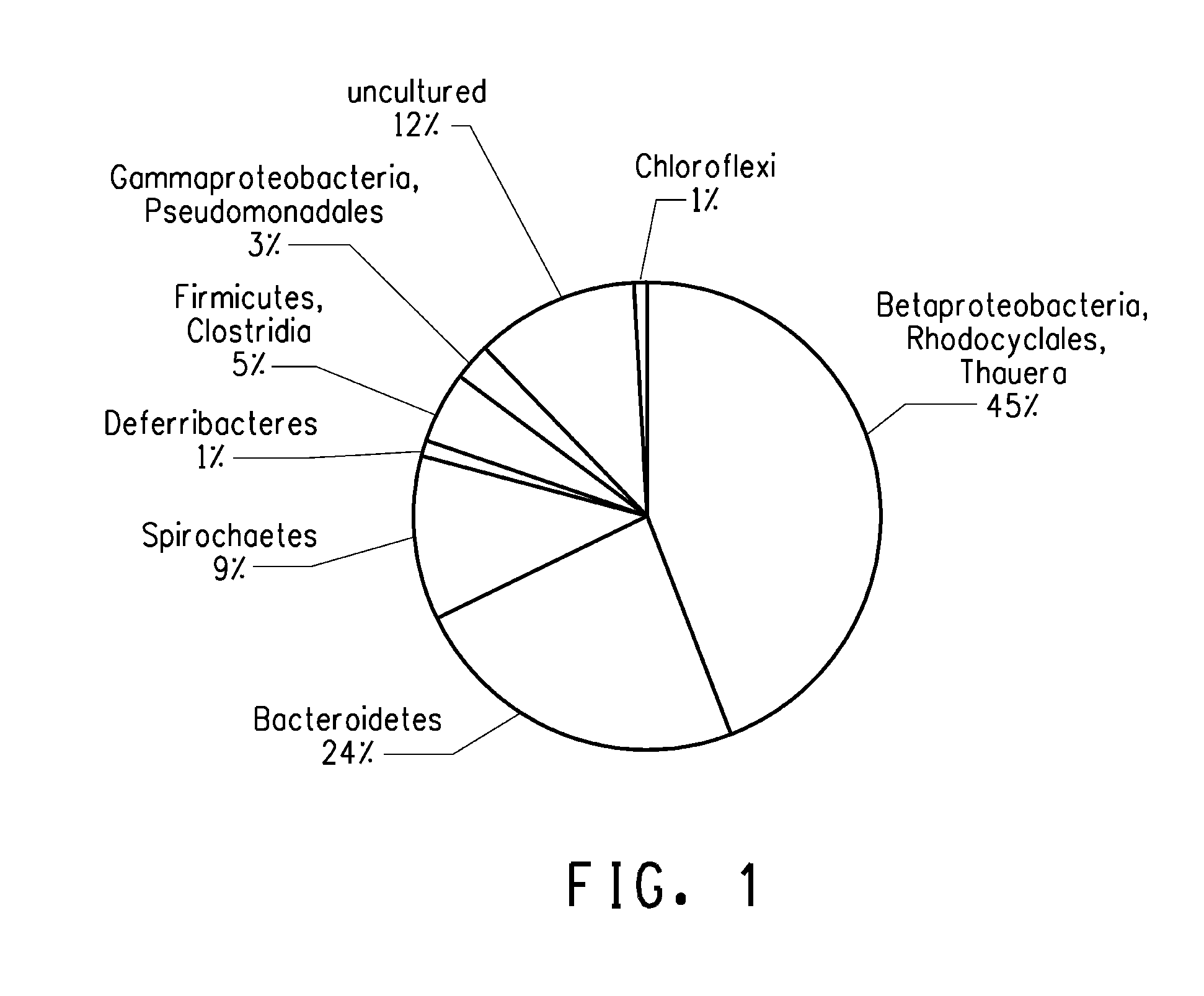 Method of in situ bioremediation of hydrocarbon-contaminated sites using an enriched anaerobic steady state  microbial consortium