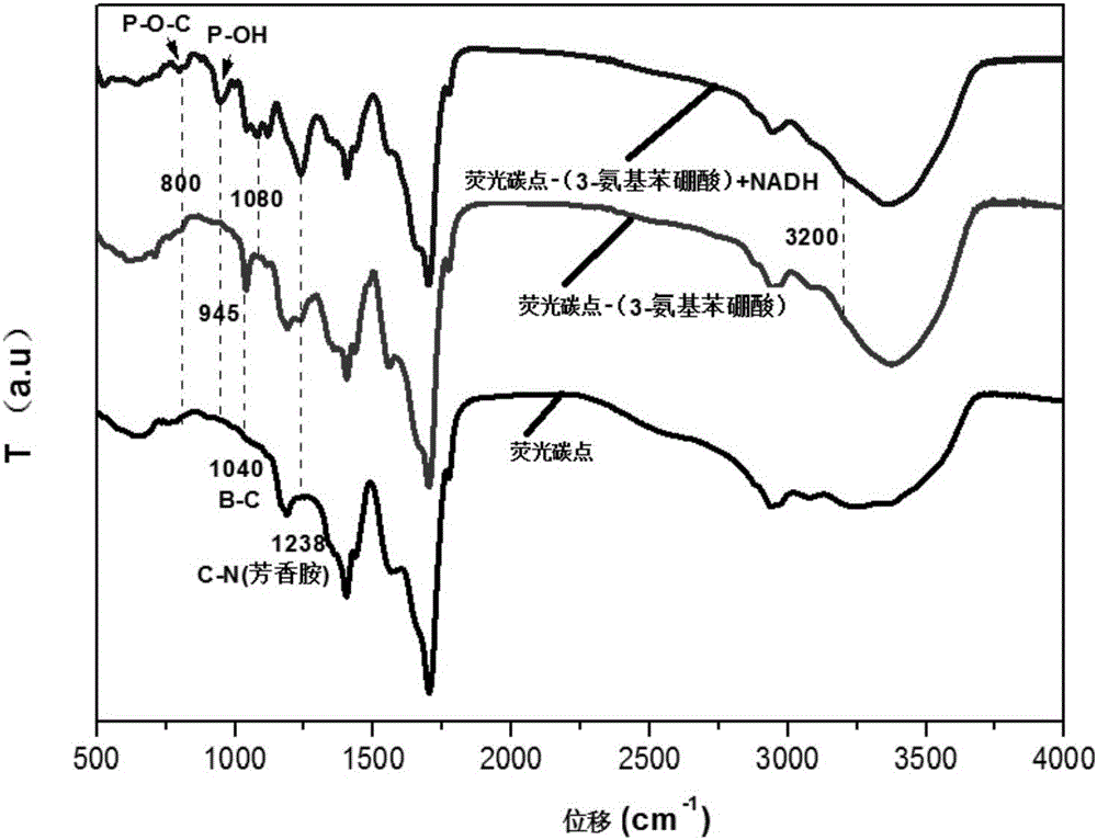 Peroxynitrite ion detection probe as well as preparation method and application thereof