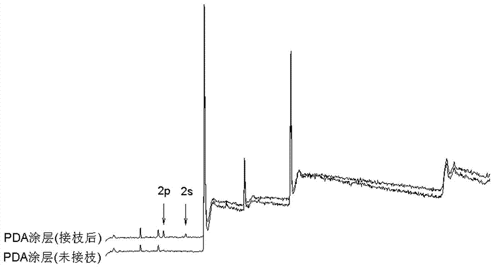 Porous scaffold provided with surface oriented functionally modified coating and preparation method of porous scaffold