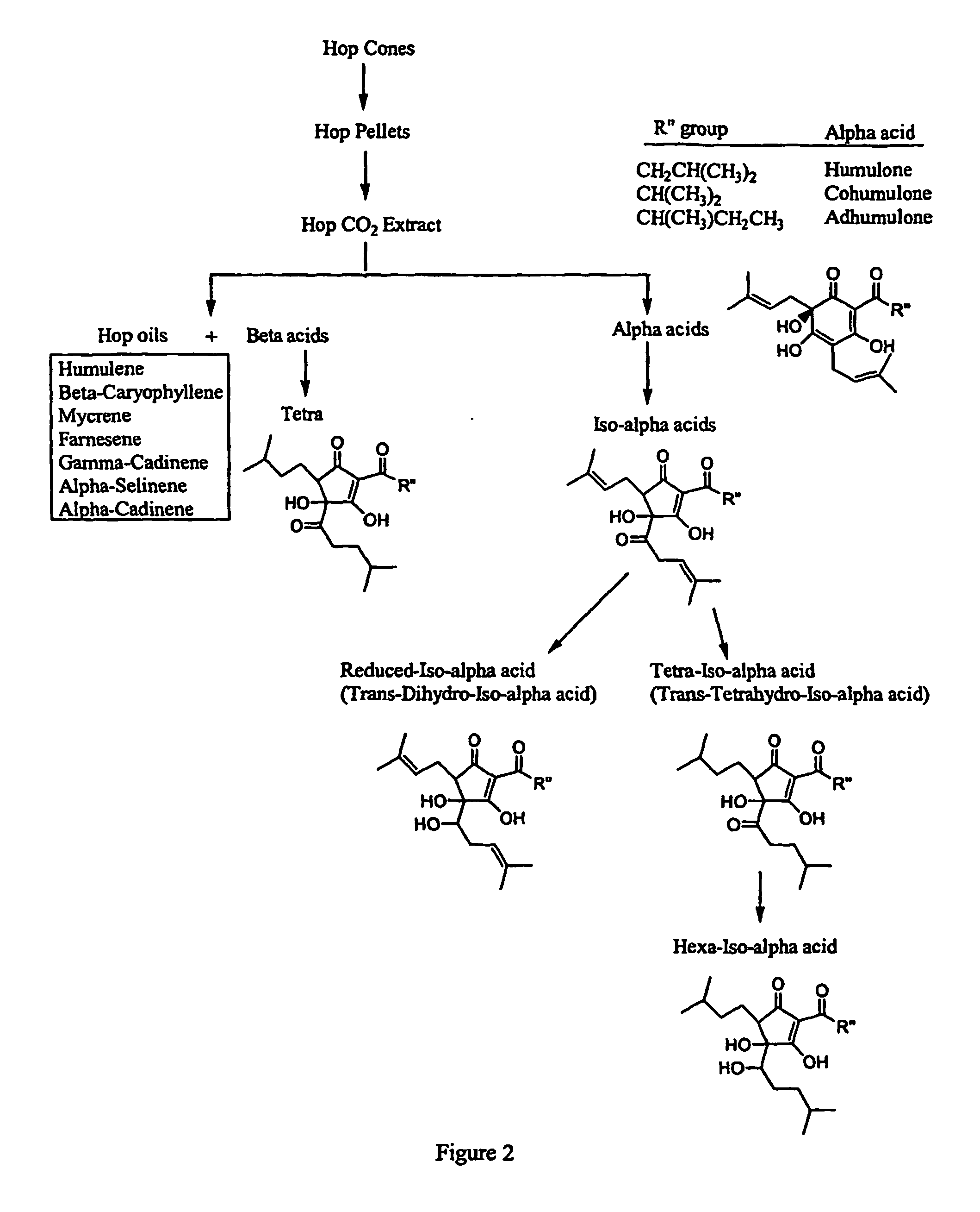 Anti-Inflammatory Pharmaceutical Compositions For Reducing Inflammation And The Treatment Or Prevention Of Gastric Toxicity