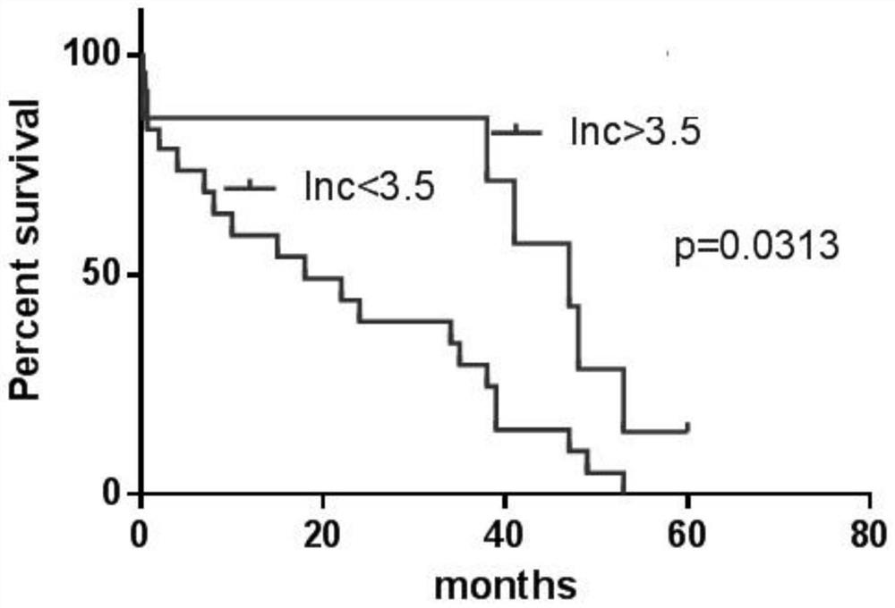 A glioma prognostic marker and its application