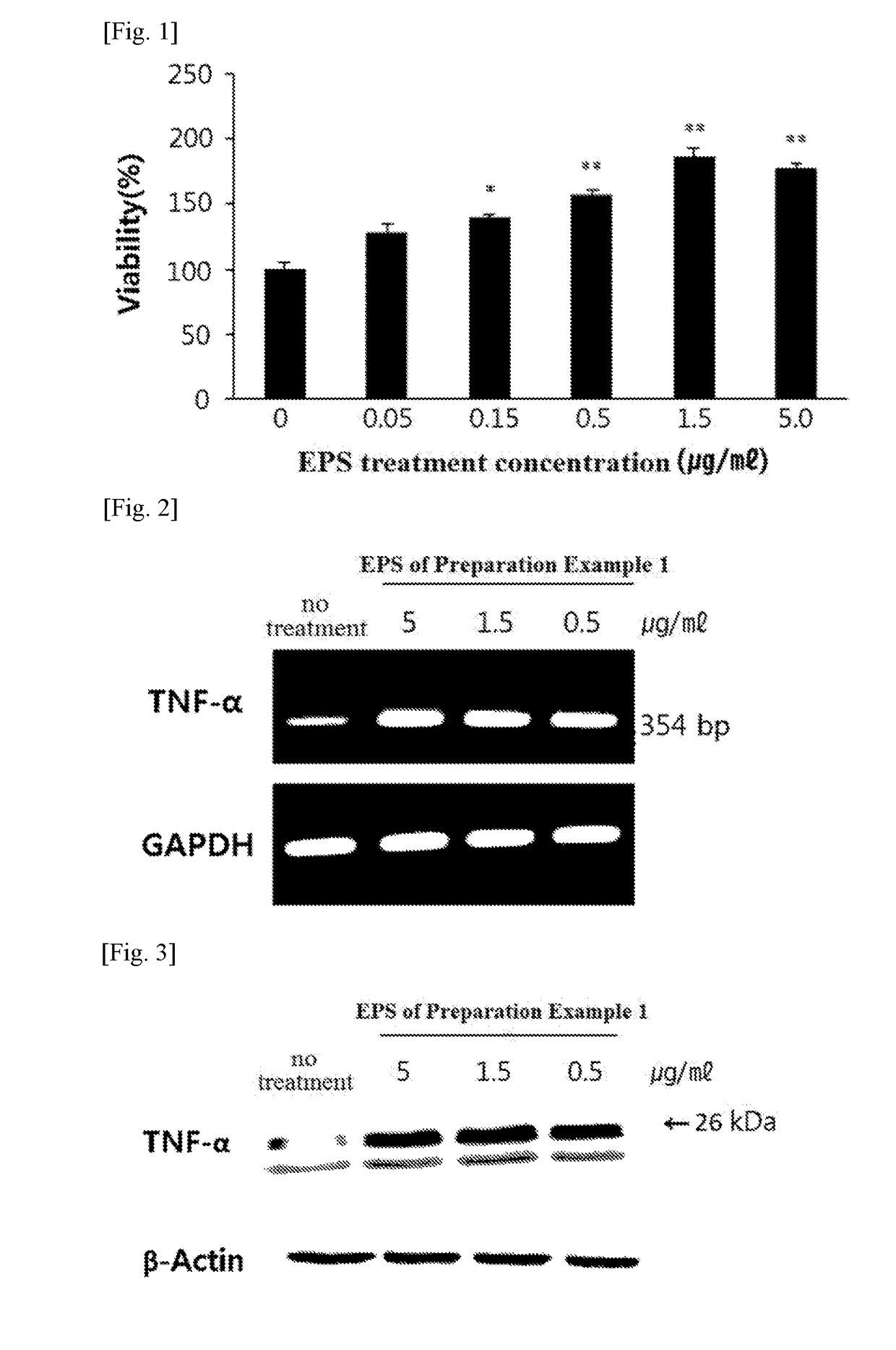 Composition containing extracellular polysaccharide produced by ceriporia lacerata as active ingredient for immunoregulation