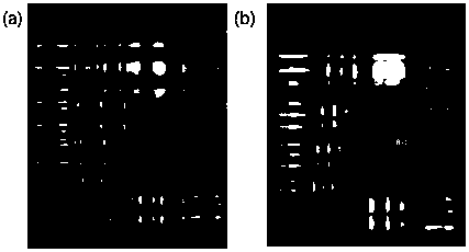 Achromatic light field camera system based on super-structure lens arrays and achromatic method