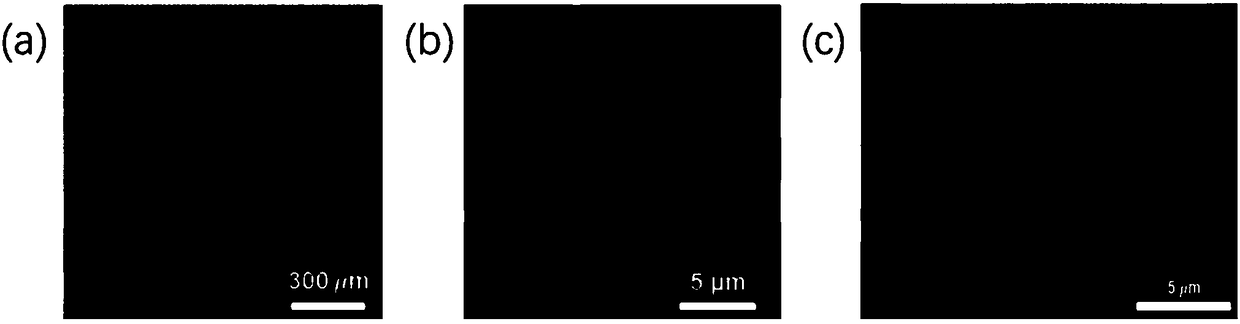 Achromatic light field camera system based on super-structure lens arrays and achromatic method