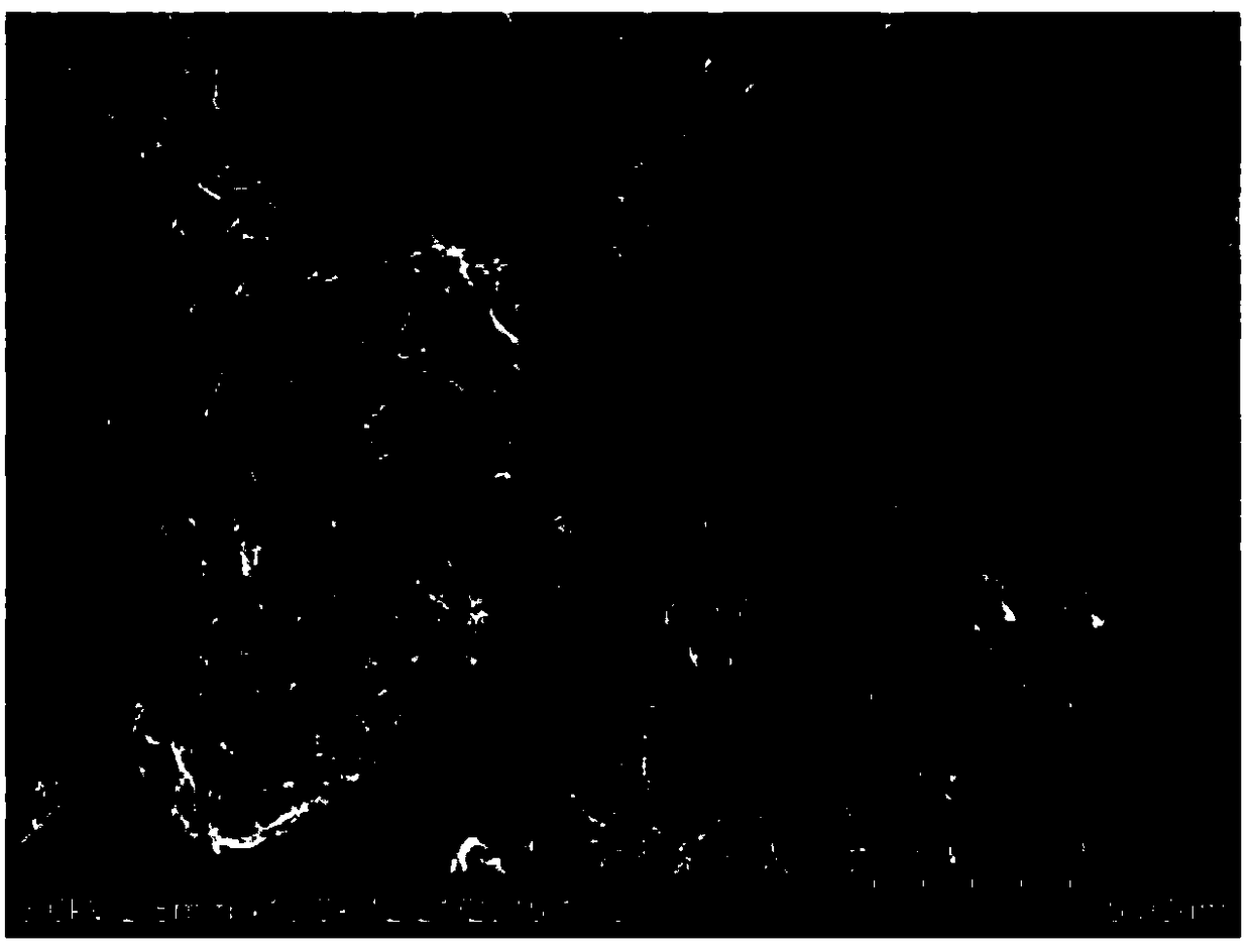 Bismuth compounded bismuth oxyiodide photocatalyst containing iodide ionic defects and preparation method of bismuth compounded bismuth oxyiodide photocatalyst