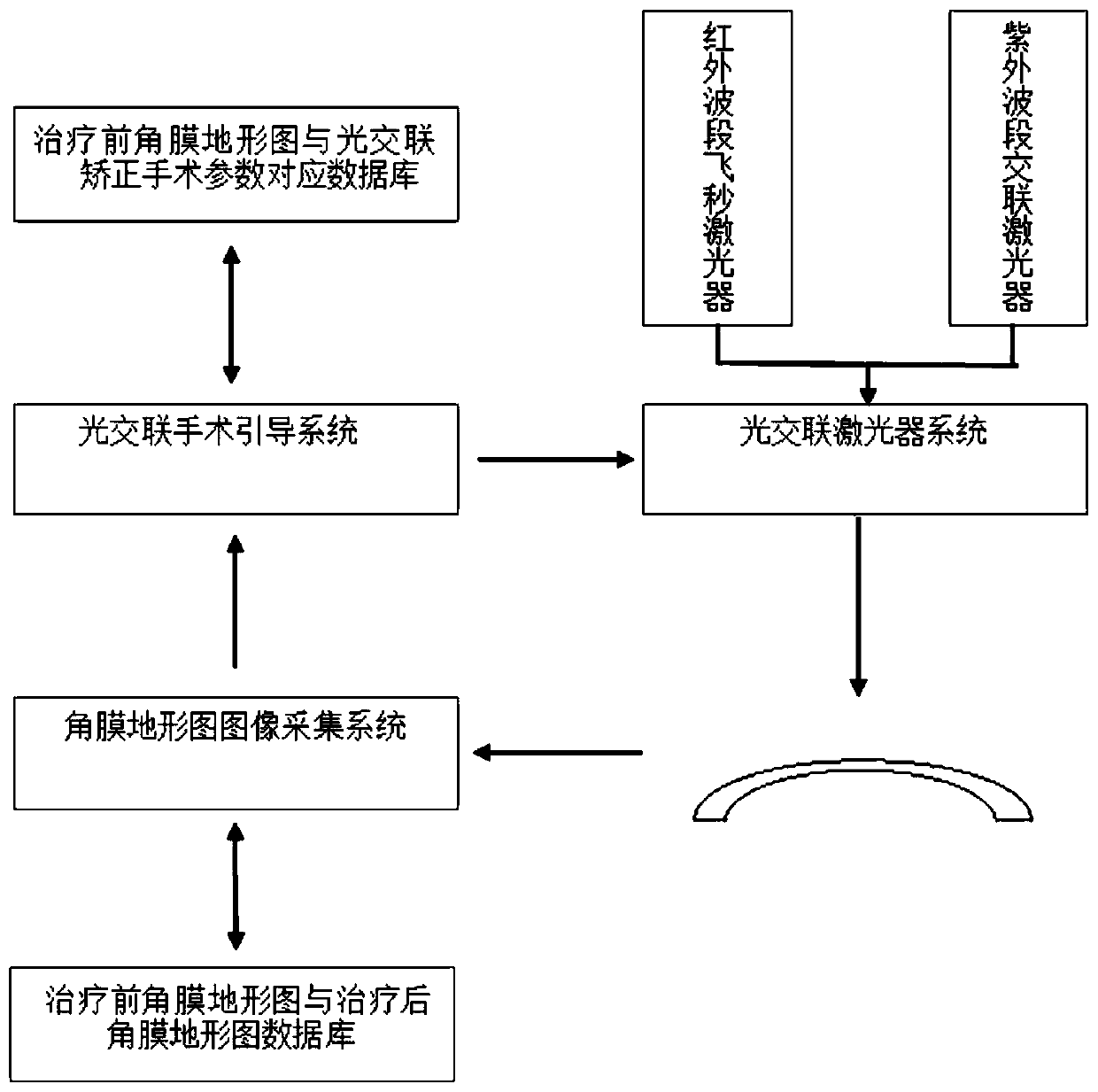 Intelligent treatment system for photo-crosslinking operation and establishment method