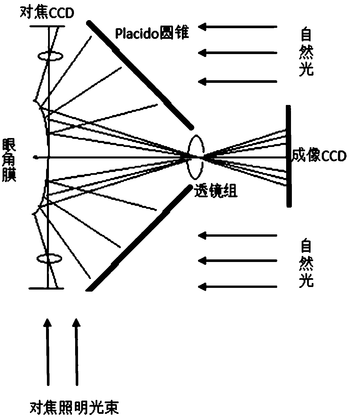 Intelligent treatment system for photo-crosslinking operation and establishment method