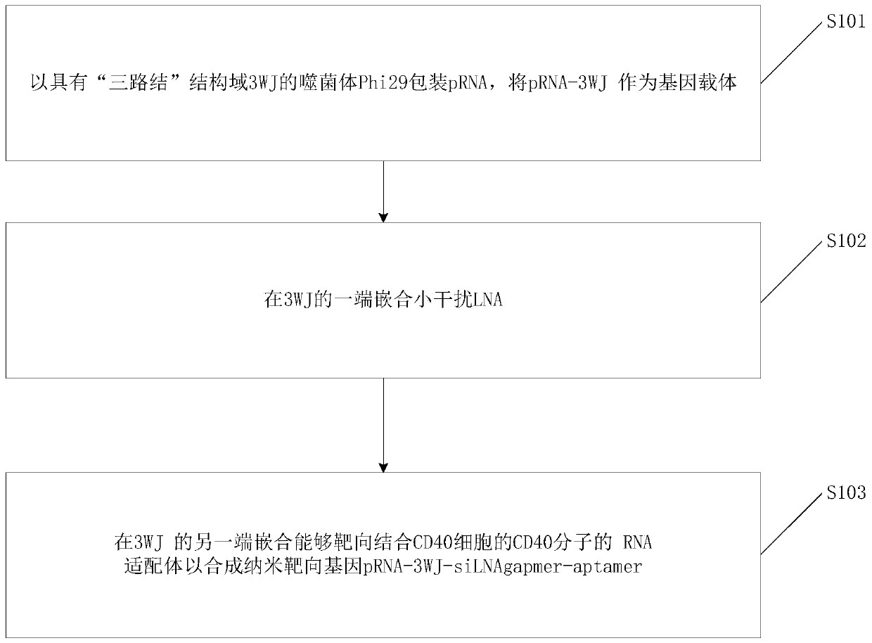 Method for synthesizing pRNA-3WJ-siLNAgapmer-aptamer