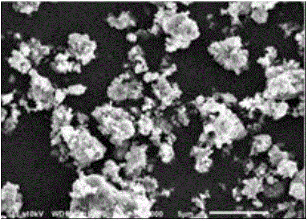 Preparation method of lithium iron phosphate/double carbon layer coated composite material