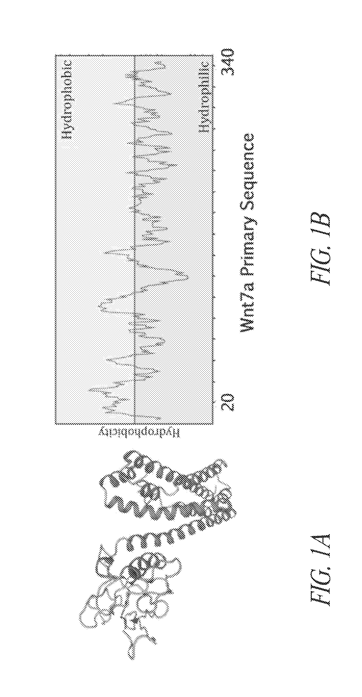 Wnt7a compositions and method of using the same