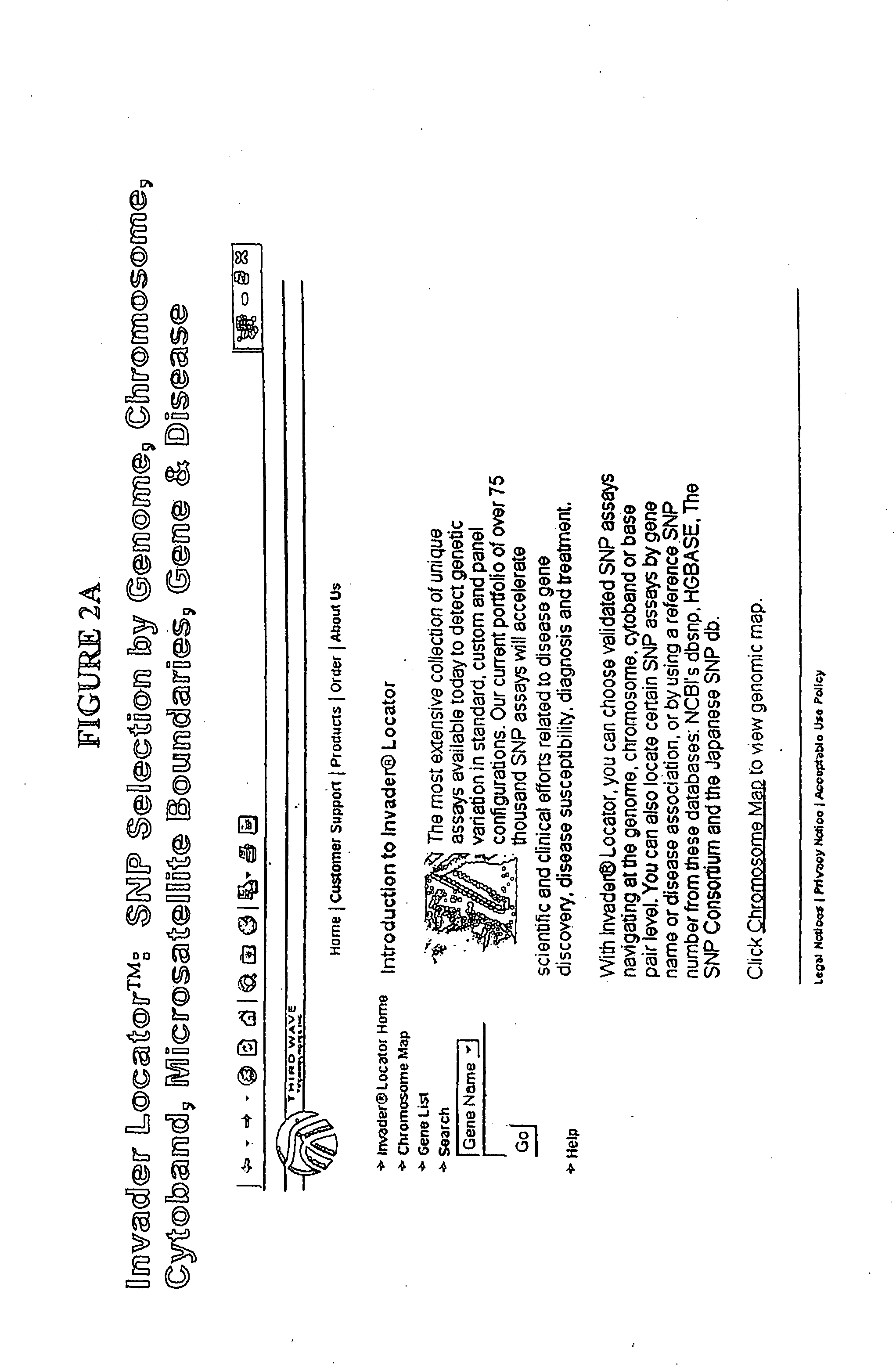 Nucleic Acid Detection Assays