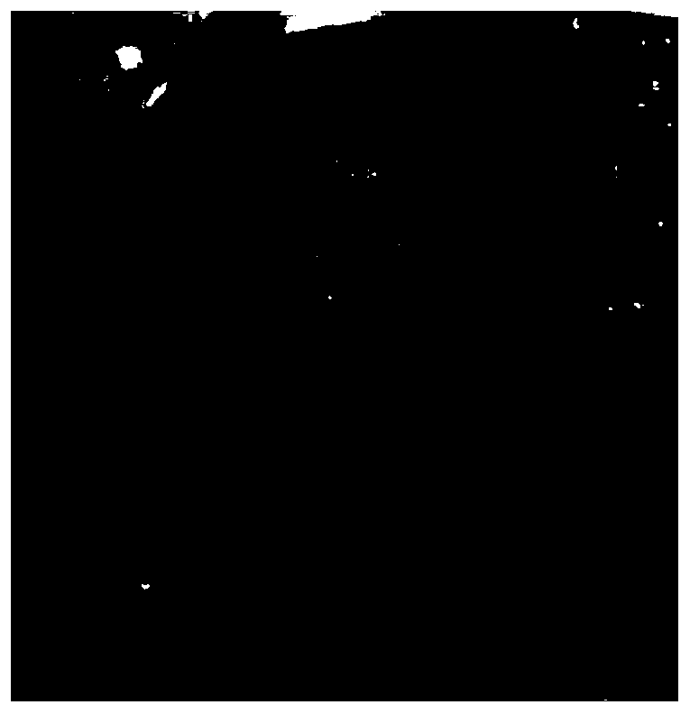 Solid propellant taking polyester-butyl hydroxyl block polymer as adhesive