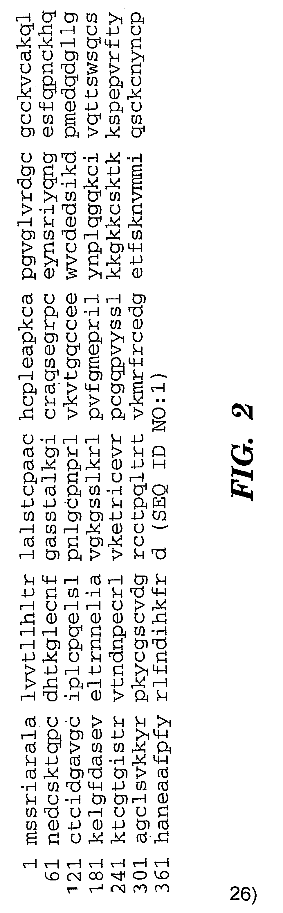 Cyr61 as a Biomarker for Diagnosis and Prognosis of Cancers of Epithelial Origin