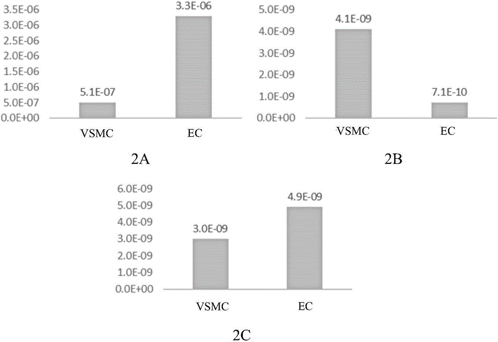 Intracranial drug eluting stent system and preparation method thereof