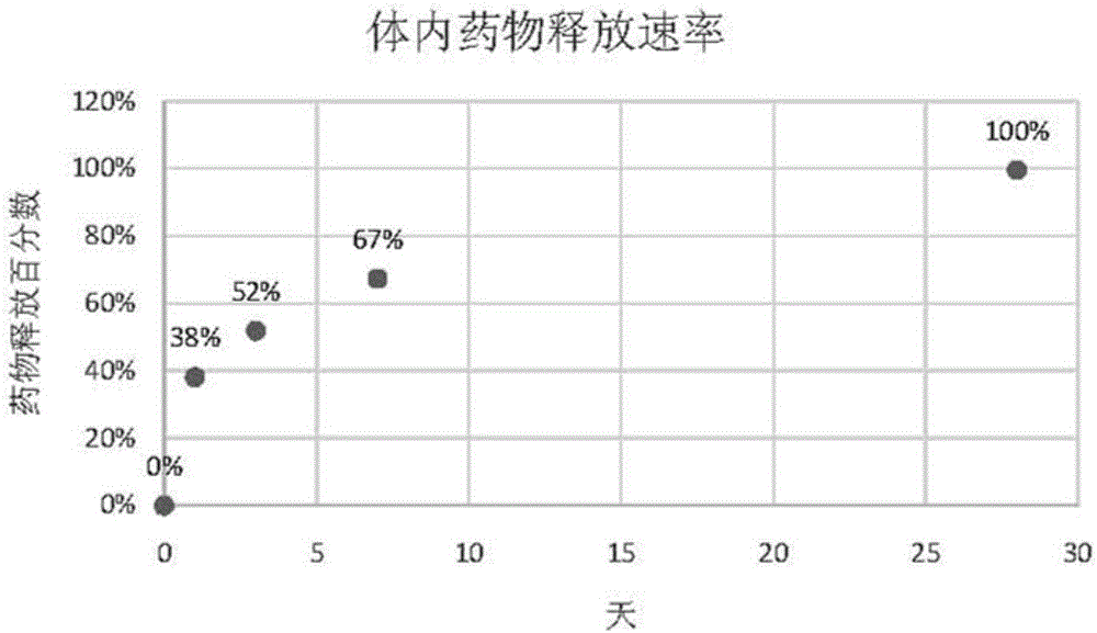 Intracranial drug eluting stent system and preparation method thereof