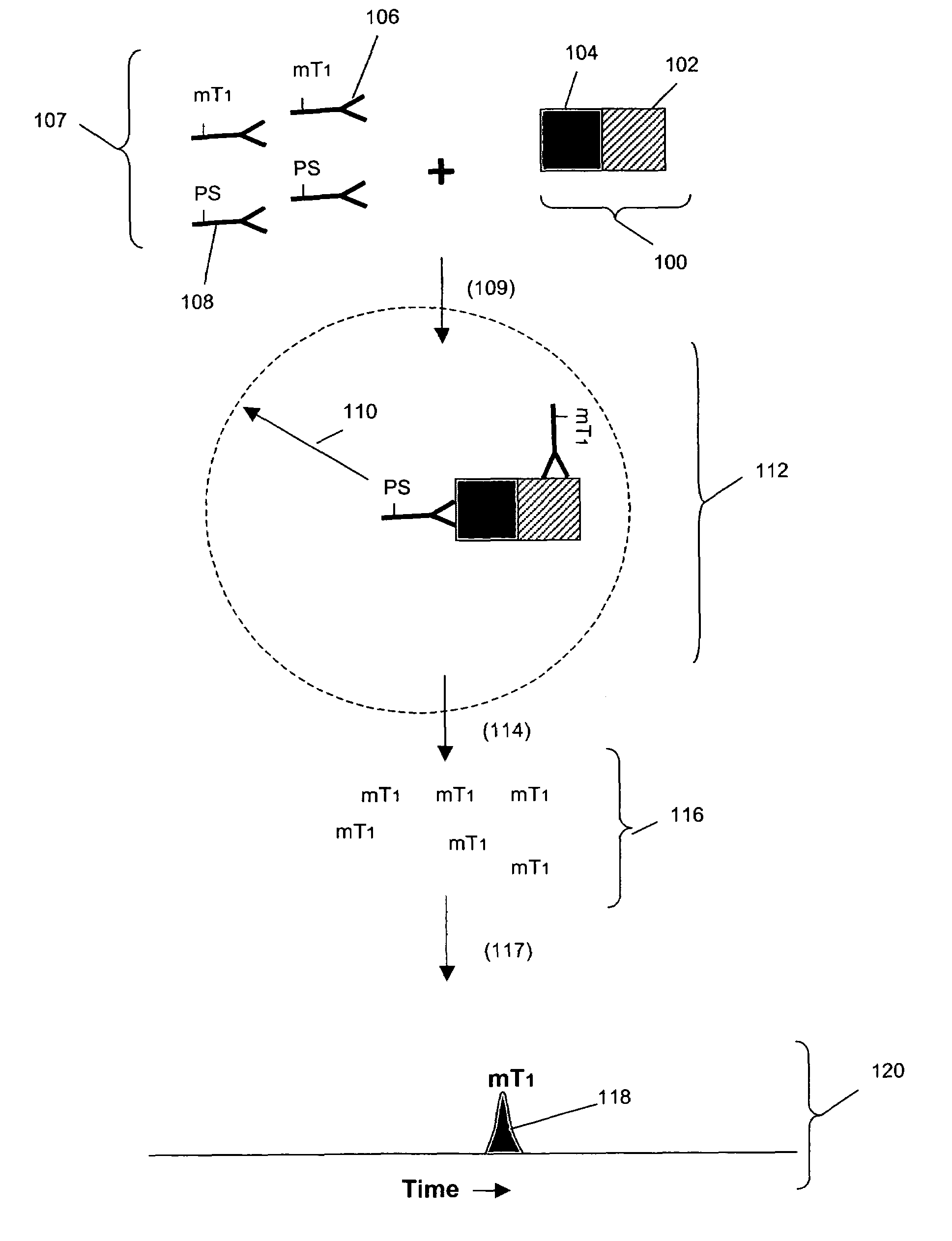 Biomarker detection in circulating cells