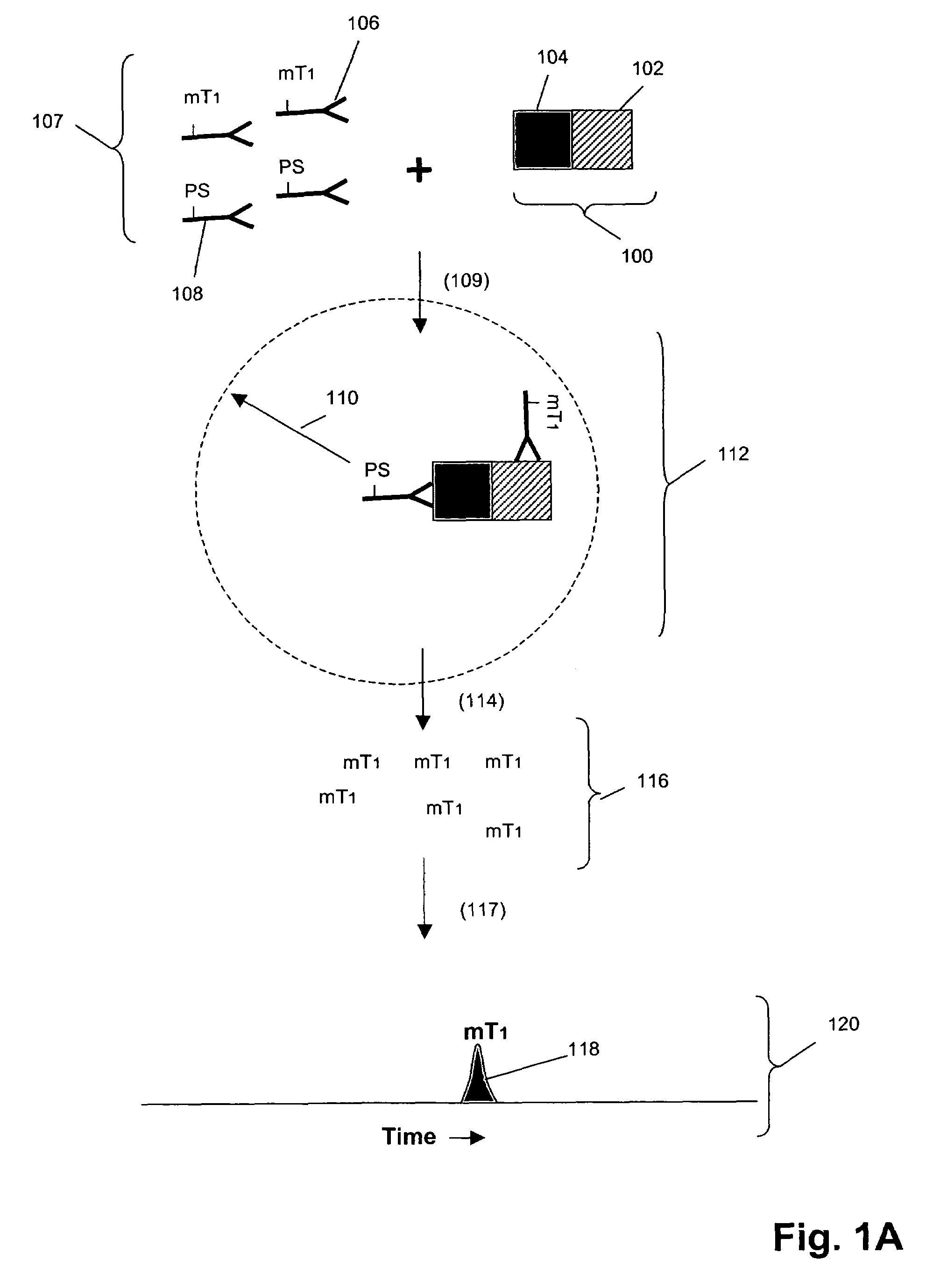 Biomarker detection in circulating cells