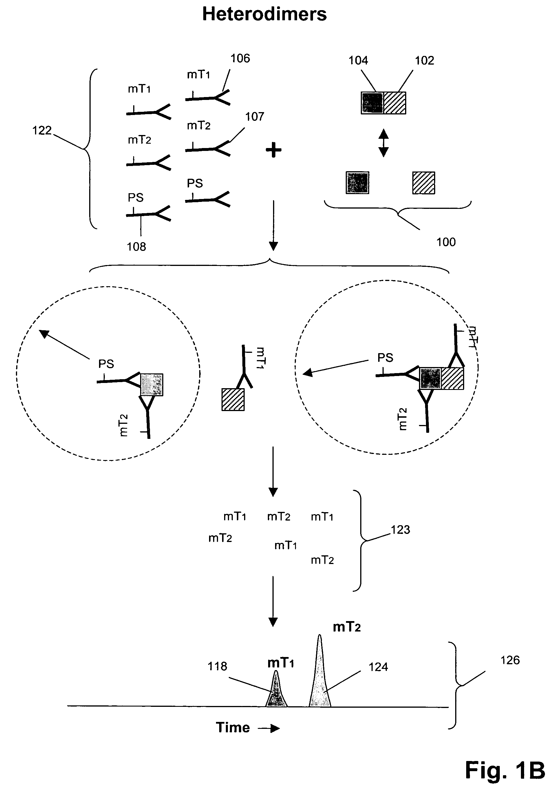 Biomarker detection in circulating cells