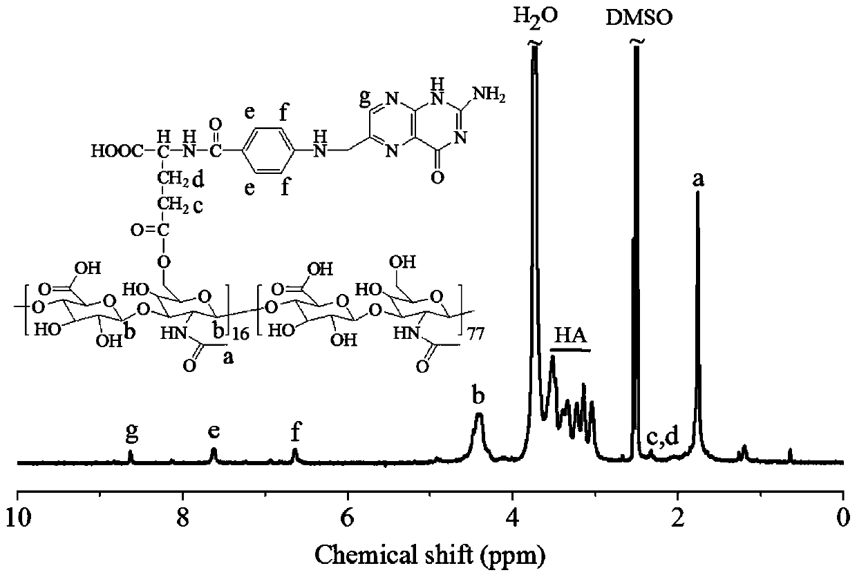 Hyaluronic acid-g-folic acid amphiphilic polymer and application thereof