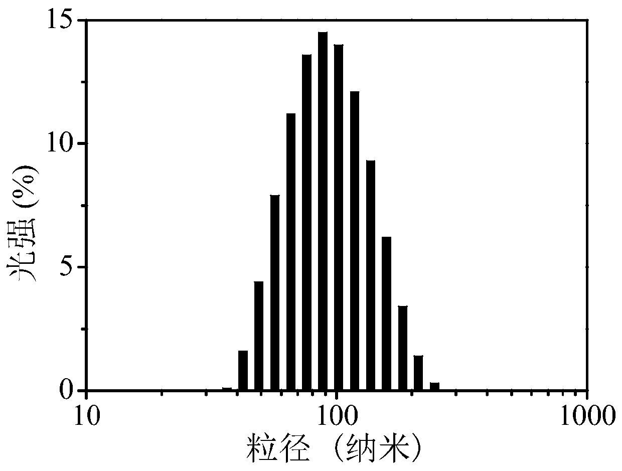 Hyaluronic acid-g-folic acid amphiphilic polymer and application thereof