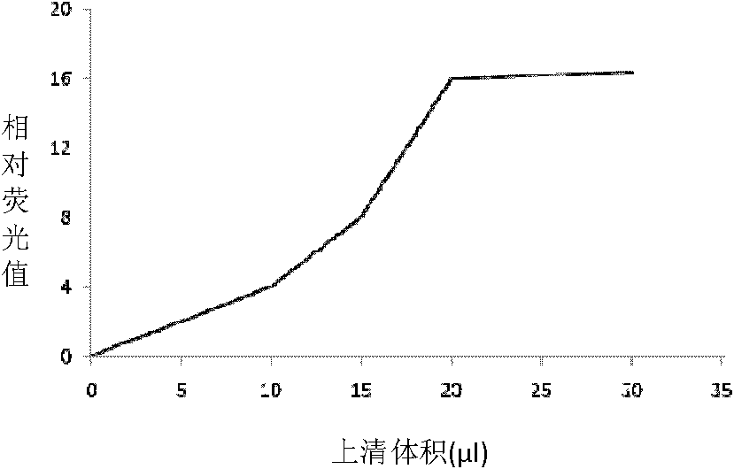 Construction method of anti-tuberculosis medicine high-throughput screening model