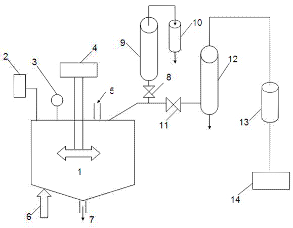 Hydrophilic copolyester chip and preparation method thereof