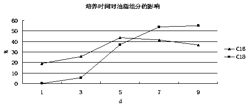 Process for preparing biodiesel from Monopodella cells