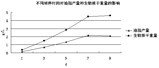 Process for preparing biodiesel from Monopodella cells