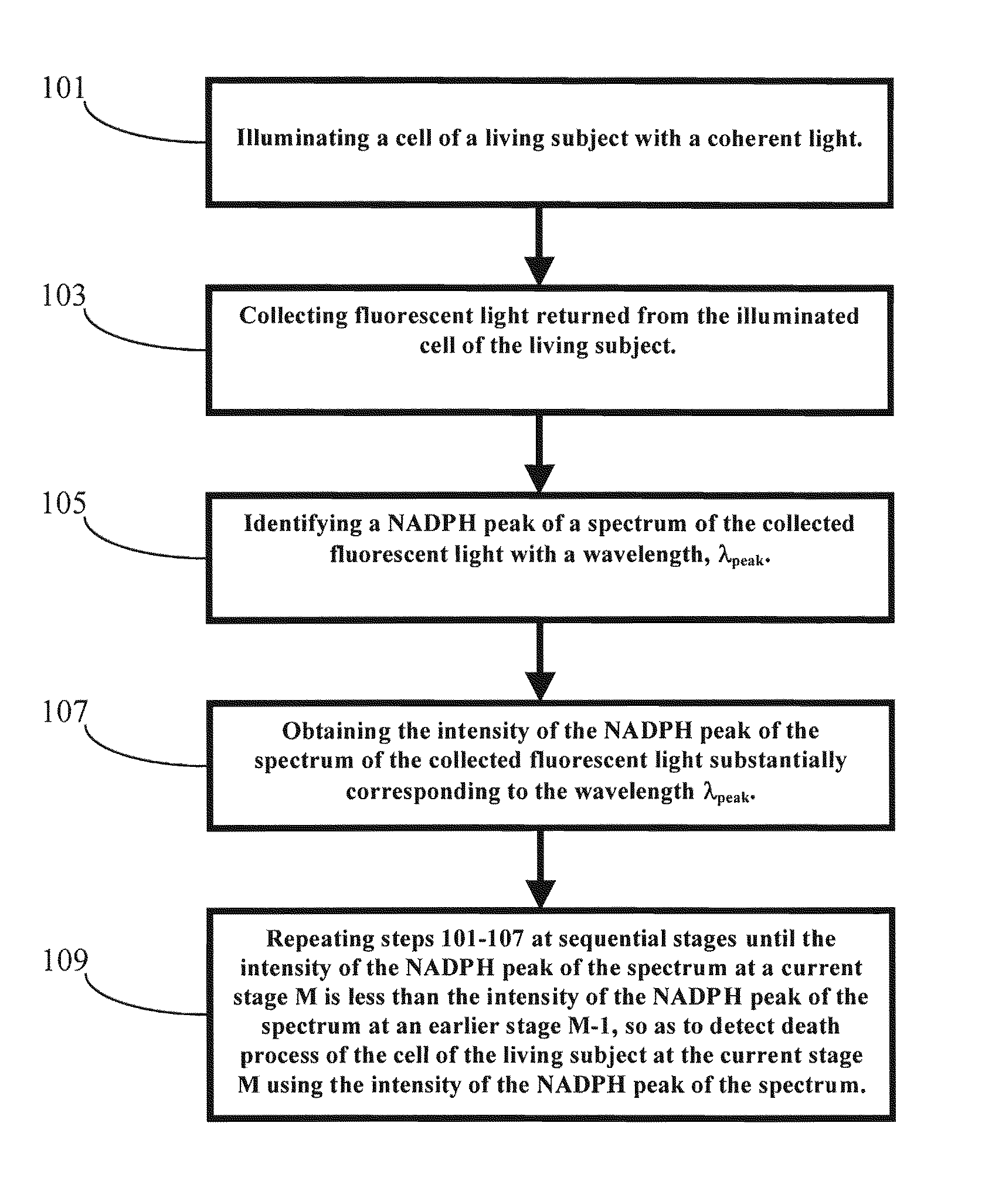 Methods and Apparatus for Optical Spectroscopic Detection of Cell and Tissue Death