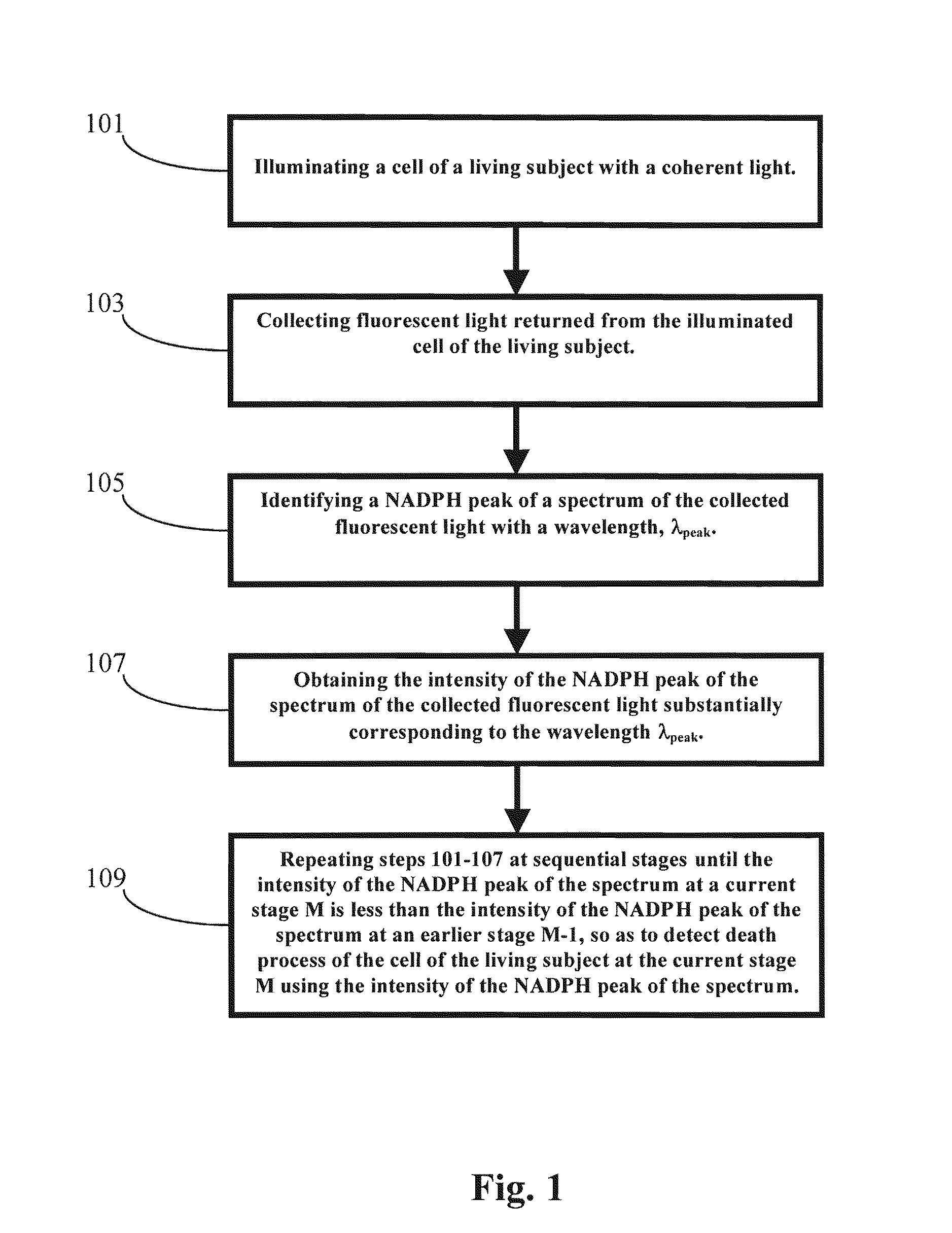 Methods and Apparatus for Optical Spectroscopic Detection of Cell and Tissue Death