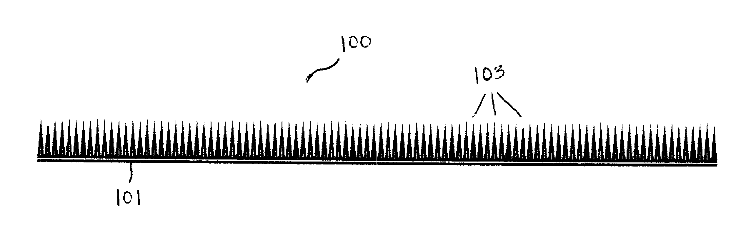 Apparatus for a Plant Growth Medium