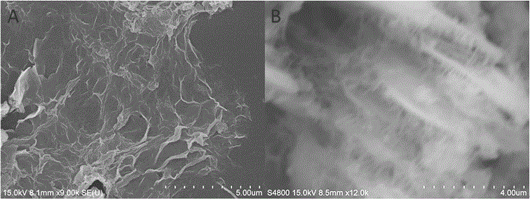 Three-dimensional layered graphite-phase nitrogen carbide/MOF composite material and preparation method thereof