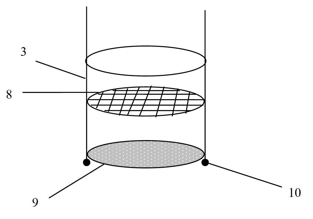 Culture and separation device and culture and separation method for daphnia magna