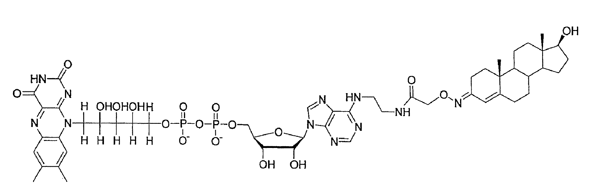 Immunoassay method and reagent therefor