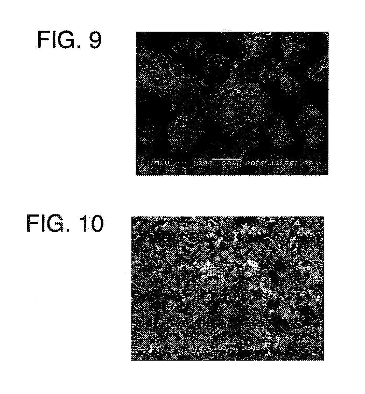 Composite particles which contain both cellulose and inorganic compound