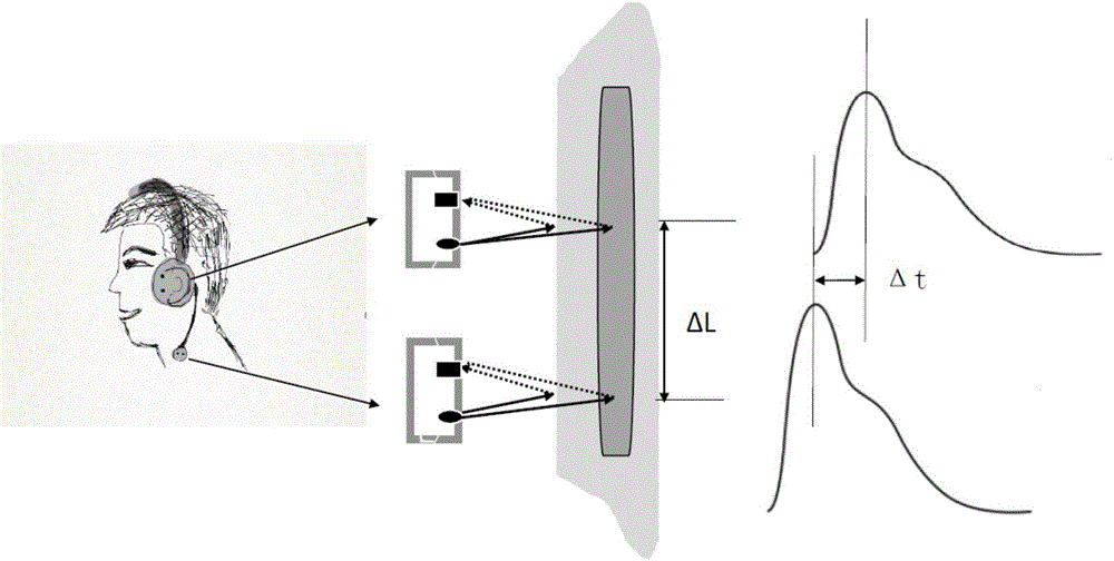 Head and neck artery stiffness detecting system