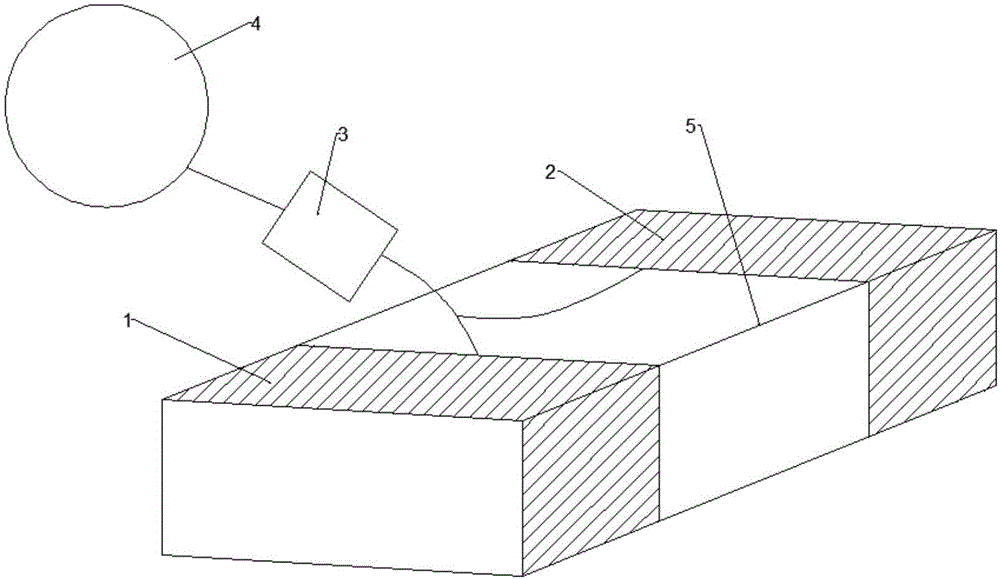 Head and neck artery stiffness detecting system